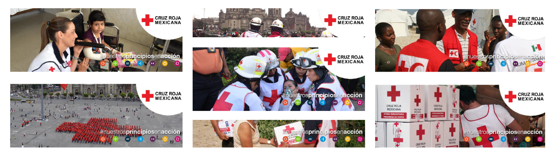 7 Principios de la Cruz Roja